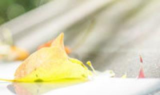 幸福的个性签名 幸福的个性签名