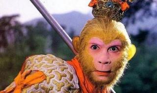 孙悟空的死尸照片 孙悟空的死尸照片