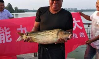 徐州钓鱼网 徐州钓鱼网