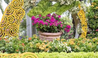 厦门园博苑攻略 厦门园博苑攻略