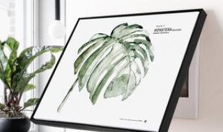 植物宠物店创业方案