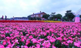 中山仙沐园温泉 中山仙沐园温泉